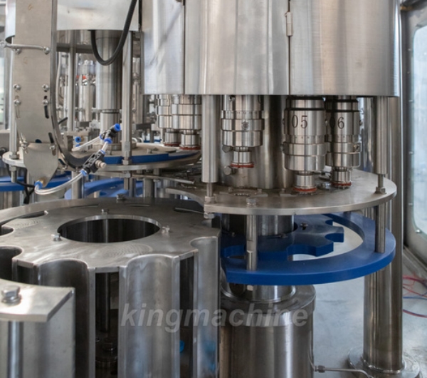 Sustainability in Bottling: How Water Filling Machines Reduce Plastic Waste